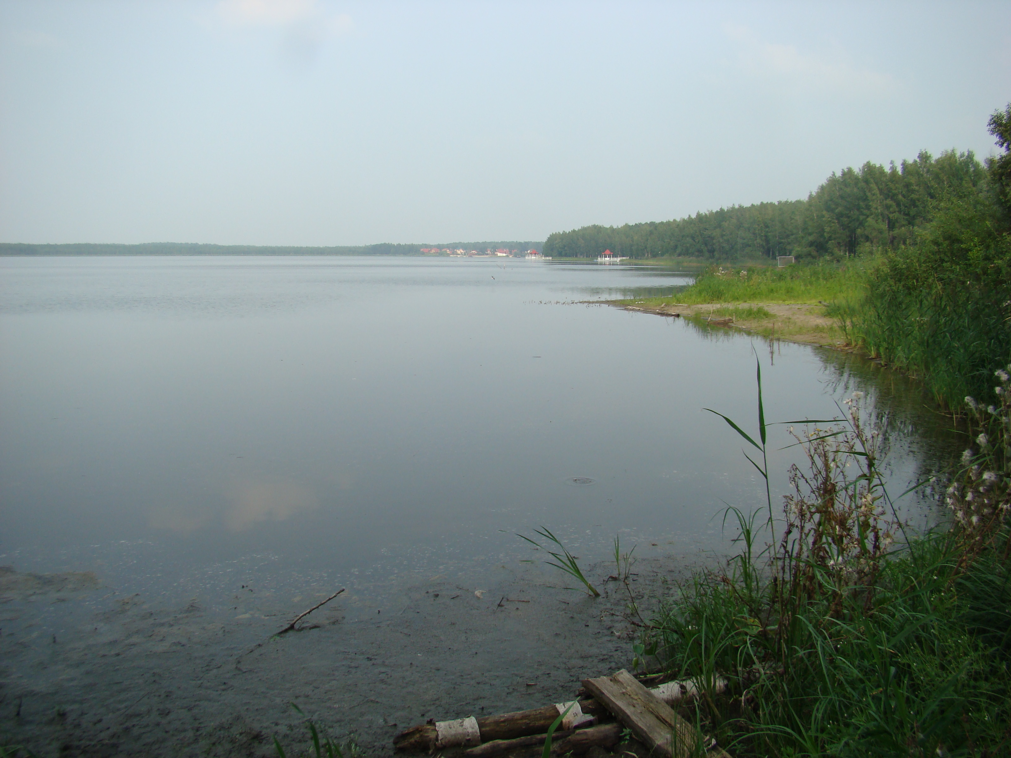 Озеро Лебяжье Омская область