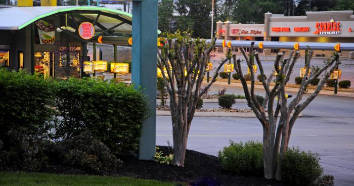 SONIC DRIVE-IN, Knoxville - 10704 Kingston Pke - Photos & Restaurant  Reviews - Order Online Food Delivery - Tripadvisor