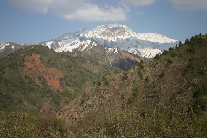 Горы чимган узбекистан фото Вершина Большого Чимгана 3309м