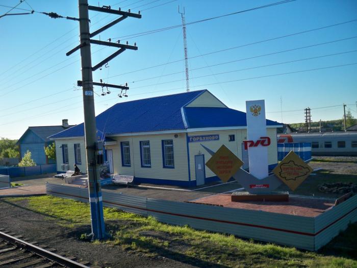 Магазины Петухово Курганской Области