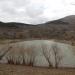 Pond
