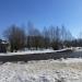 Рощица в городе Череповец