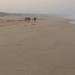 Villas Beach FLC Resort Quy Nhơn trong Thành phố Quy Nhơn thành phố