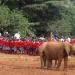 Nairobi National Park Animal Orphanage in Nairobi city