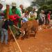 Nairobi National Park Animal Orphanage in Nairobi city