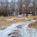 Школьный парк в городе Гусиноозёрск