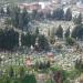 Cemetery (en) in Lushnjë city