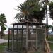 Голубятня (ru) in Torrevieja city
