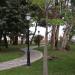 Parque de Doña Sinforosa (ru) in Torrevieja city