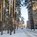 Территория  детского  сада в городе Висагинас