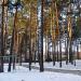 Территория  детского  сада в городе Висагинас
