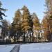 Территория  детского  сада в городе Висагинас