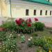 Клумба в городе Воронеж