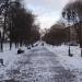 Аллея в городе Подольск