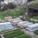 Ancient Jewish Cemetery of the Karaite Jews in Jerusalem city