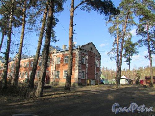World / Russia / Leningrad / Sosnovyy Bor , 11 км от центра (Сосновый Бор)