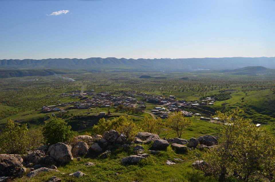 Dergijnik