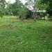 MRJ Mini Farm in Tayabas city