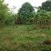 MRJ Mini Farm in Tayabas city
