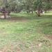 MRJ Mini Farm in Tayabas city