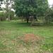 MRJ Mini Farm in Tayabas city