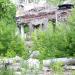 Развалины Дома офицеров в городе Луганск
