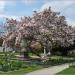 Stadtpark in Stadt Nürnberg