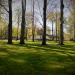 Park in Katowice city