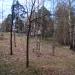Лестница в городе Борисов