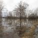 Кировский пруд в городе Ирбит