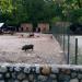 Grădina Zoologică în Piteşti oraş