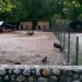 Grădina Zoologică în Piteşti oraş