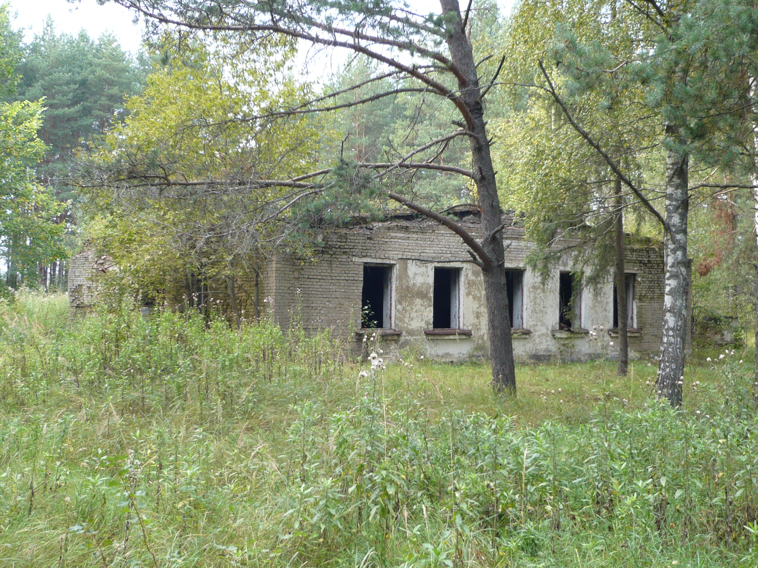 world russia moskovskaja oblast davydovo 13 км от центра давыдово