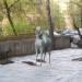 Скульптура «Ребенок на лошади» в городе Москва