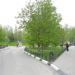 Сквер в городе Воронеж