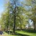 Skwer im. Bohdana Wodiczko (pl) in Warsaw city