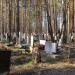 Секция № 122 в городе Екатеринбург