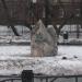 Камень в честь сквера в городе Пермь