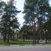 Сквер в городе Электрогорск