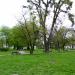 Park im. Ignacego Włodzimierza Garbolewskiego (pl) in Sochaczew city