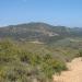 Charmlee Wilderness Park in Malibu, California city