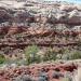 Calf Creek Campground