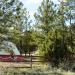 Ruby's Inn RV Park & Campground