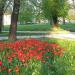 Park an der ST. Gertraud Kirche (de) в городе Франкфурт-на-Одере