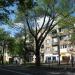 Adama Mickiewicza Street, 18b in Warsaw city