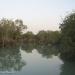 Qeshm Mangrove forests - UNESCO Global  Geopark