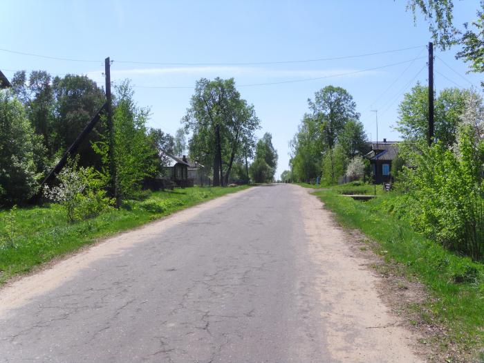 Деревня Яковлевская Орехово Зуевский район