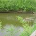 Staw in Olsztynek city