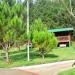 Path in Manolo Fortich city
