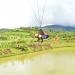Dropzone in Manolo Fortich city